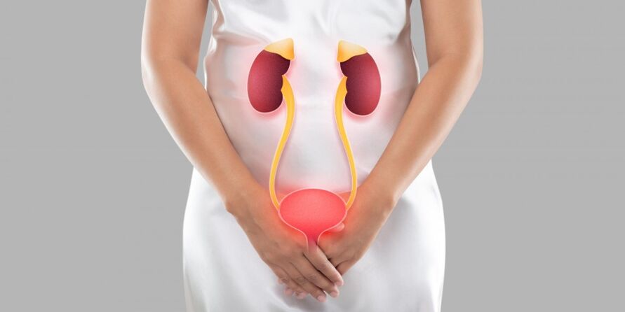 Female cystitis is an inflammation that occurs in the tissues of the bladder. 